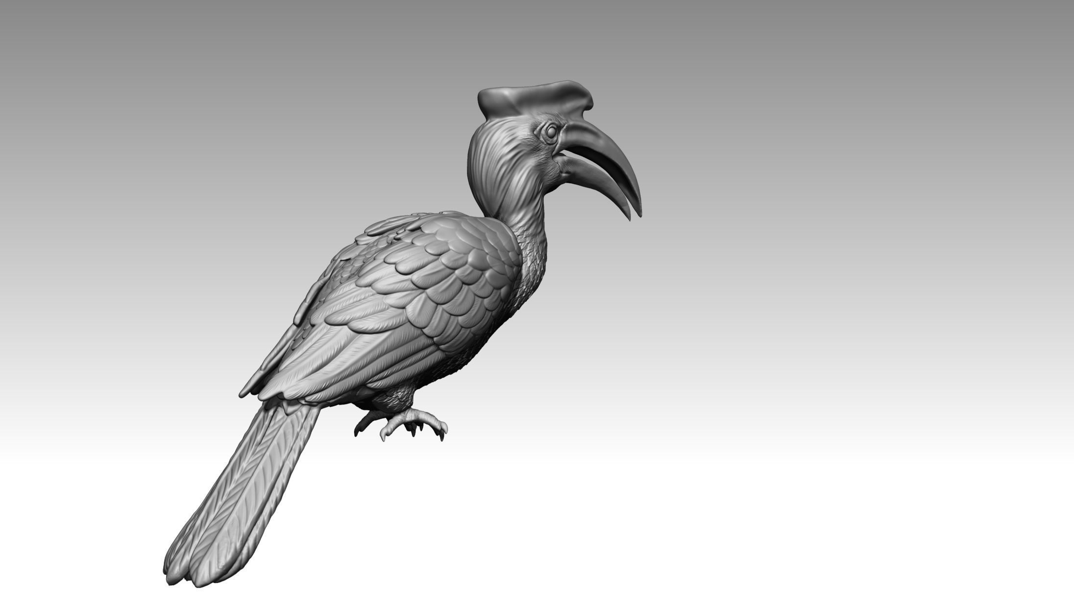 Hornbill 3D print model_11