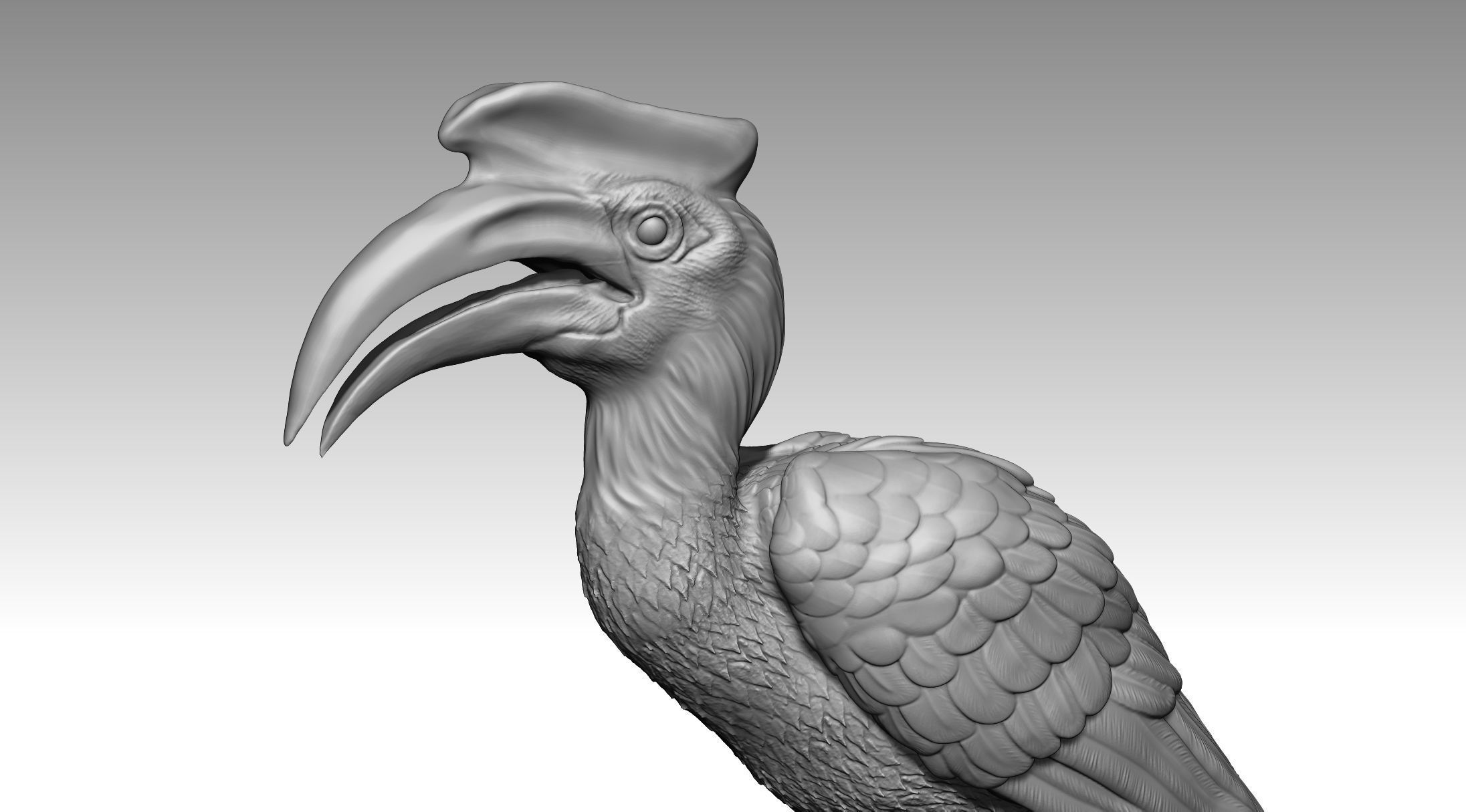 Hornbill 3D print model_3