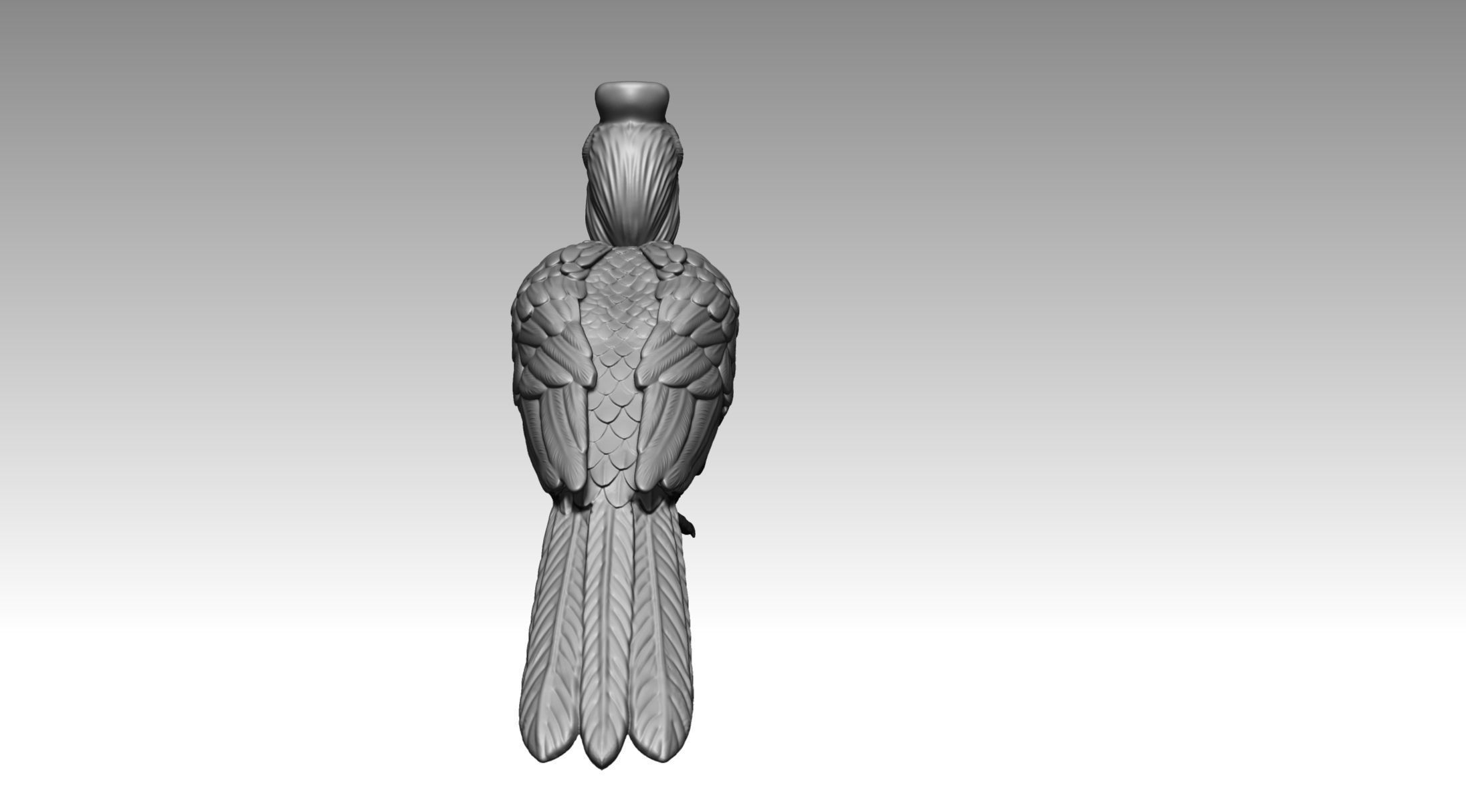 Hornbill 3D print model_10