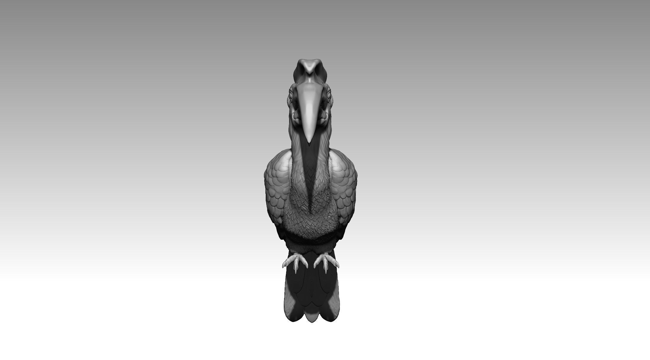 Hornbill 3D print model_8