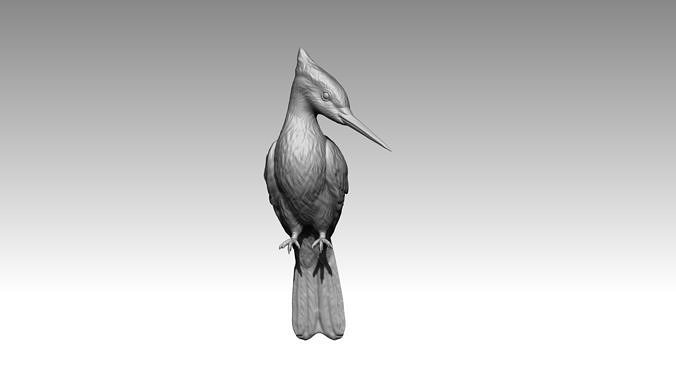 woodpecker 3D print model