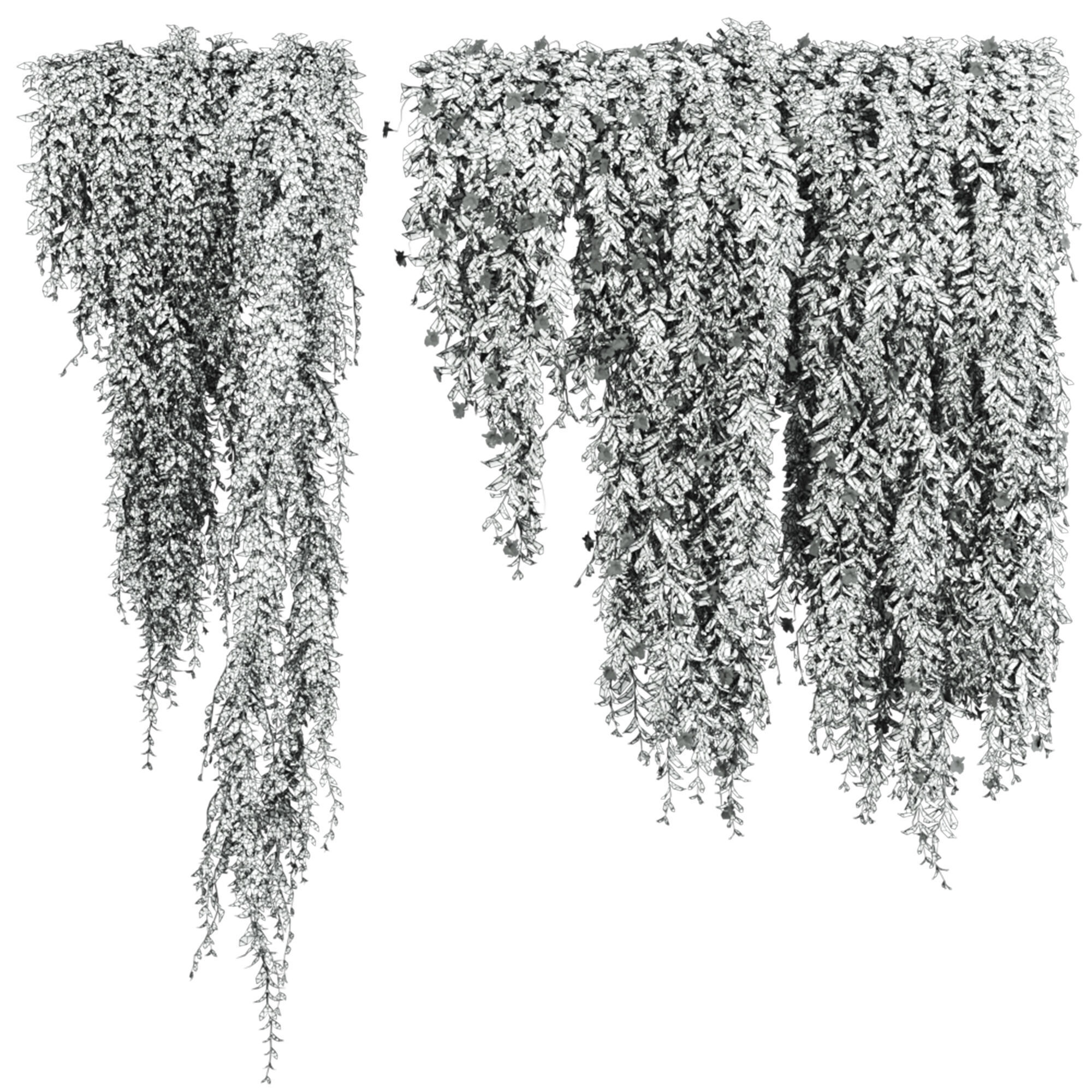 ivy plants with flowers 3D model_2