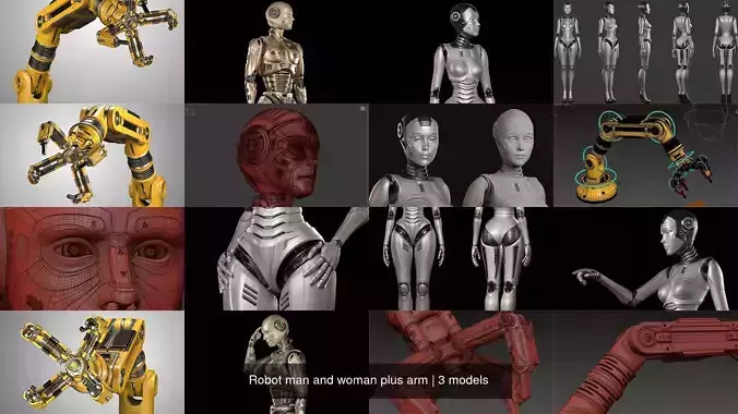Robot man and woman plus arm 3D Model Collection