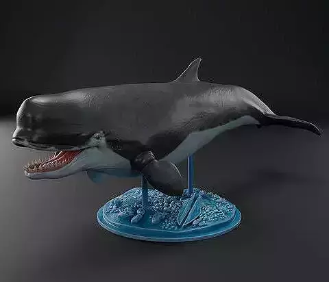 Giant Whale 3D print model