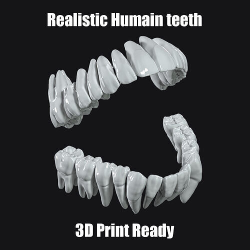 Realistic Scanned Human teeth real medical case 3D print model