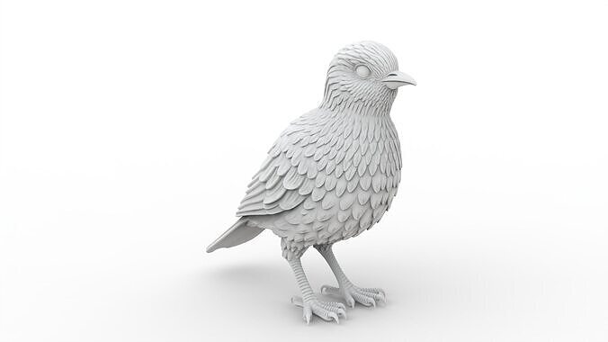 Bird 3D Print Model 3D print model