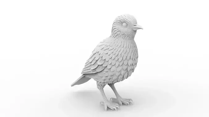 Bird 3D Print Model