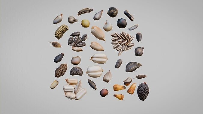 Seeds Pack Collection Low-poly 3D model