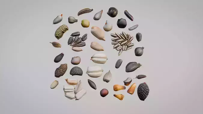 Seeds Pack Collection Low-poly 3D model