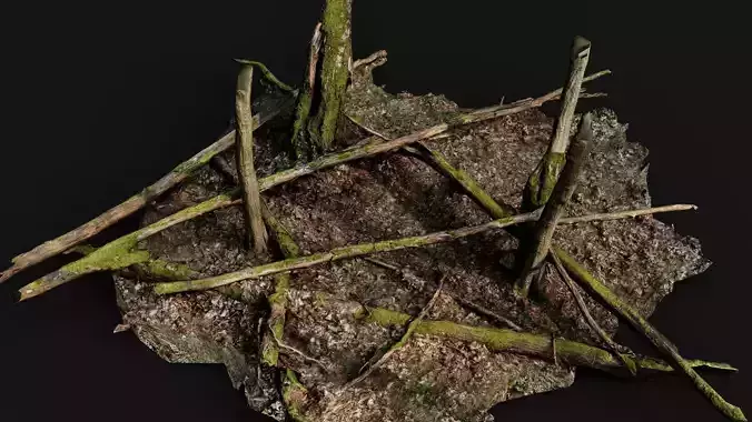 broken trees forest terrain pt2 PBR photogrammetry