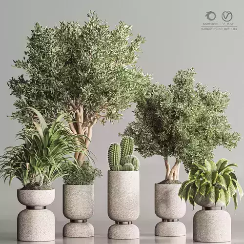 Indoor Plant Set 106