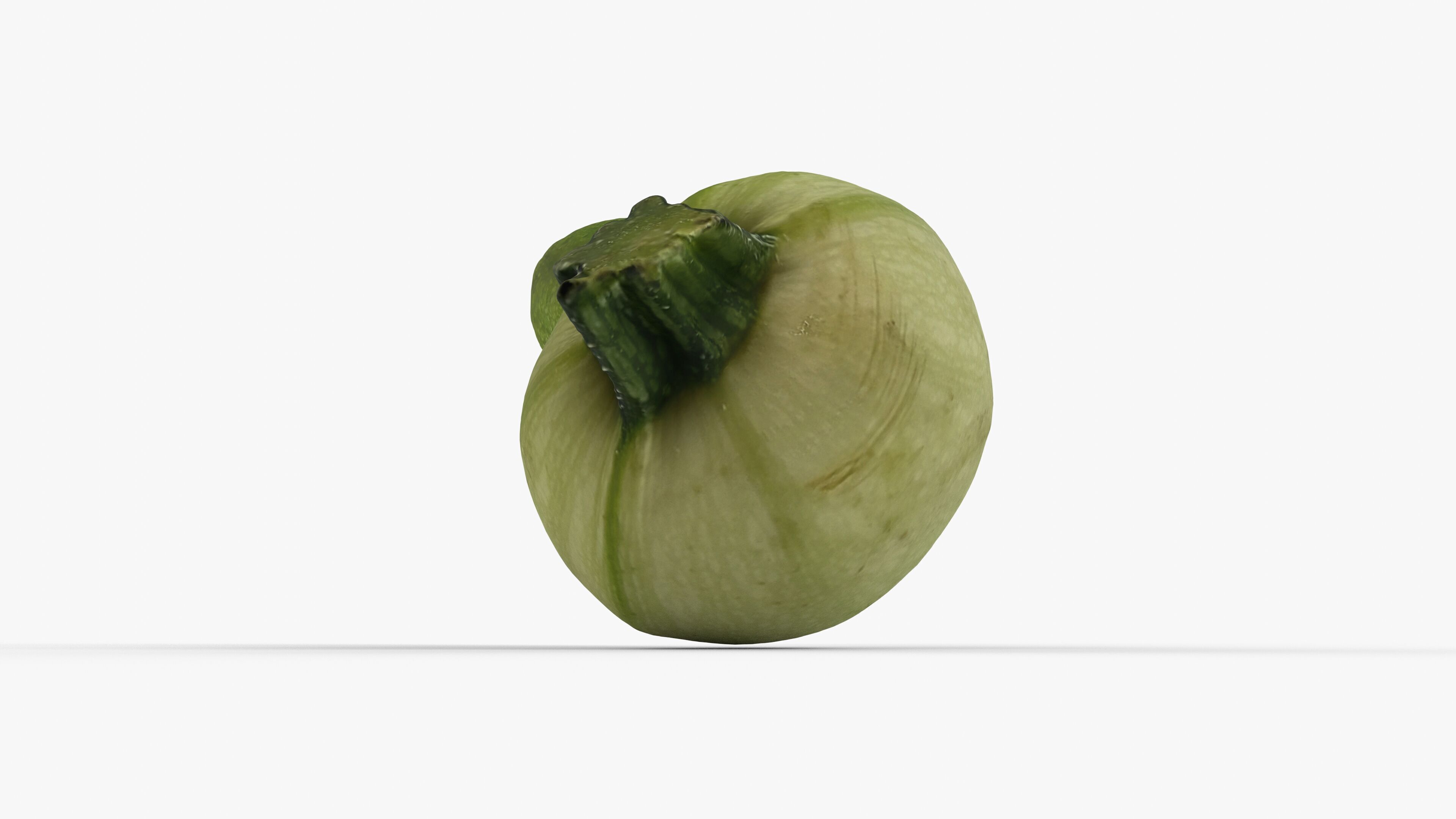 Photorealistic 3D scan of zucchini Low-poly 3D model_4
