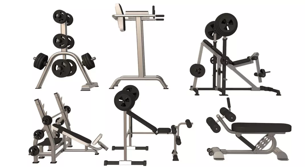 Press Bench barbell collection 3D model