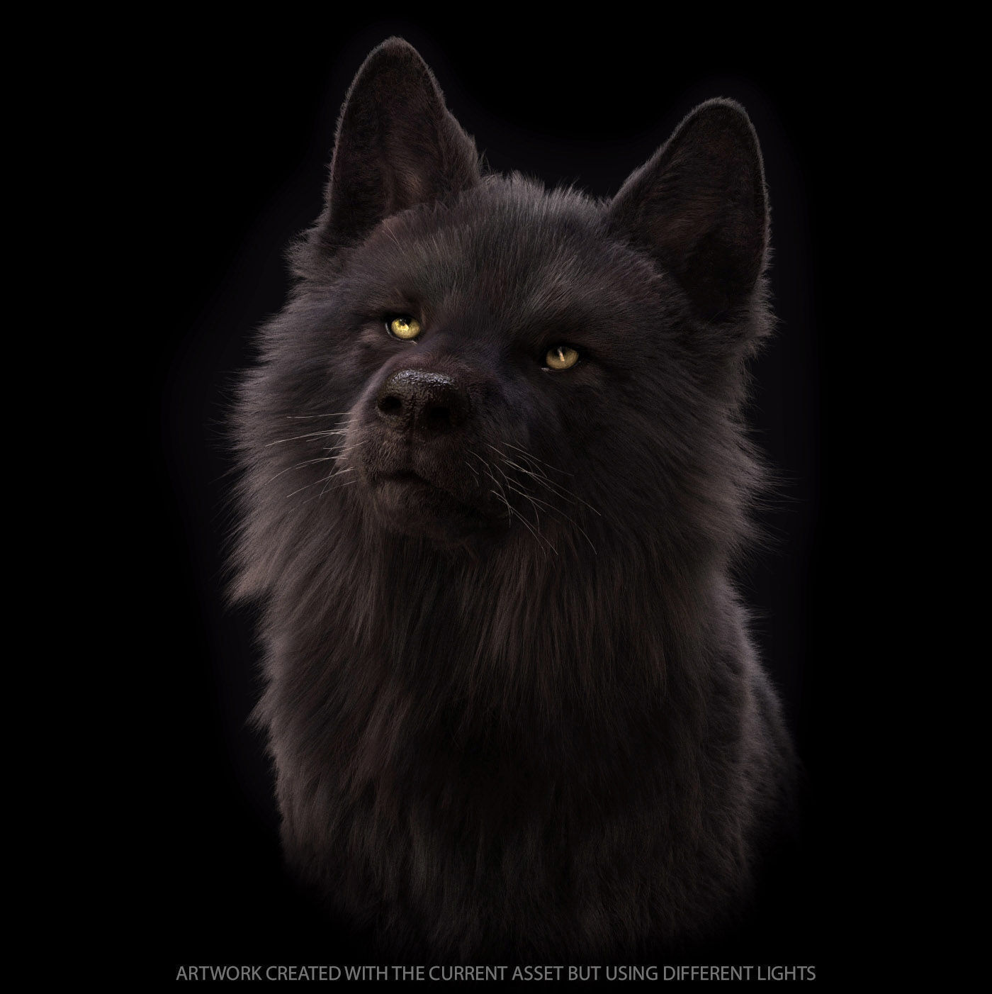 Wolves Pack RIGGED XGEN igs 3D Model Collection_29