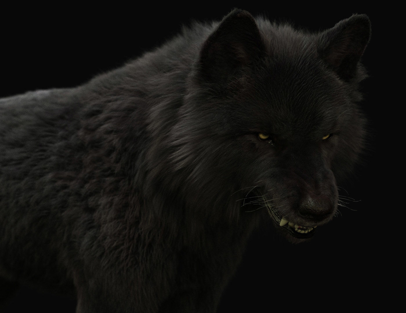 Wolves Pack RIGGED XGEN igs 3D Model Collection_26