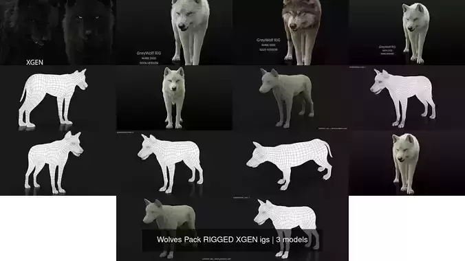 Wolves Pack RIGGED XGEN igs