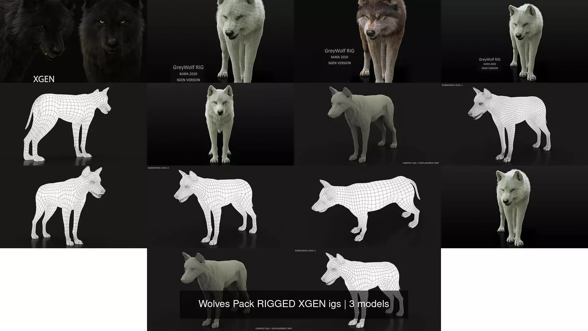 Wolves Pack RIGGED XGEN igs 3D Model Collection_4