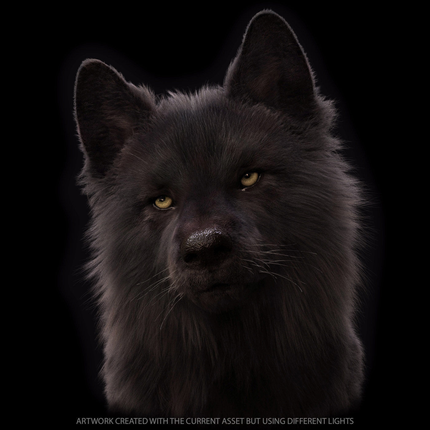 Wolves Pack RIGGED XGEN igs 3D Model Collection_30