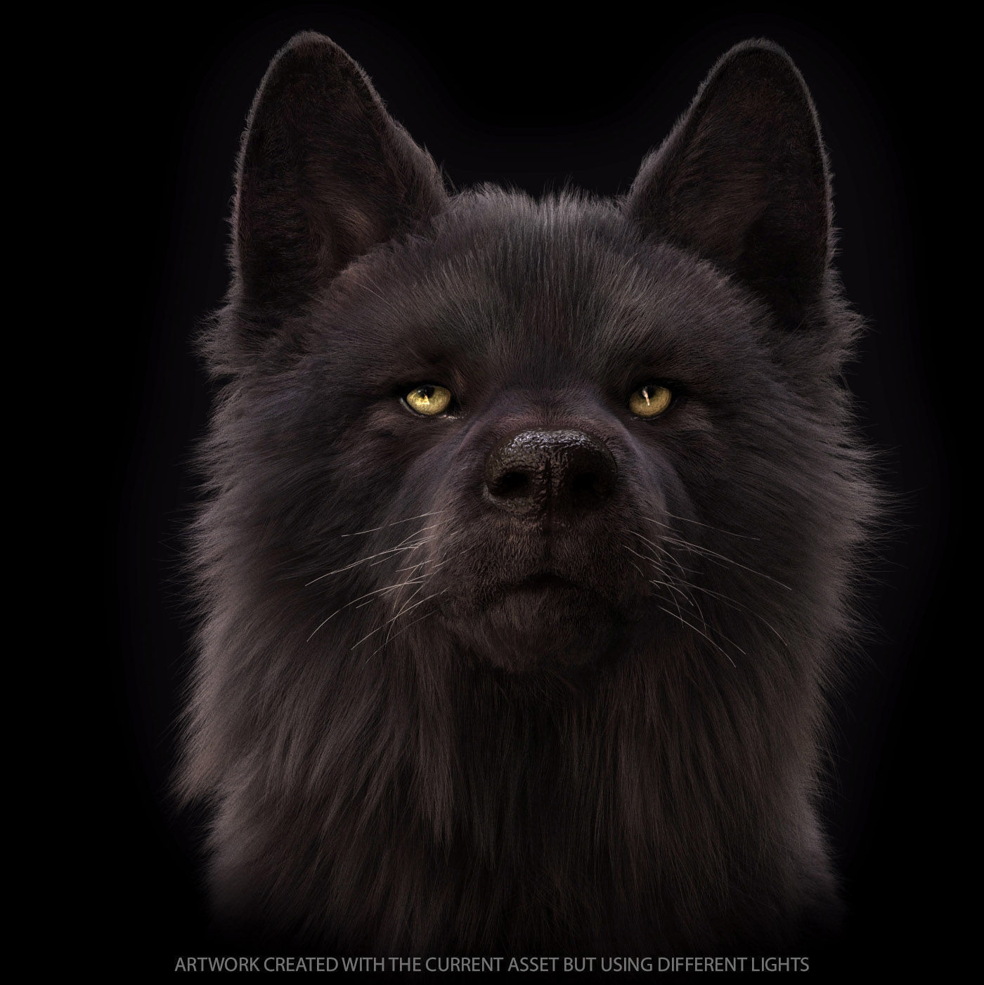Wolves Pack RIGGED XGEN igs 3D Model Collection_33
