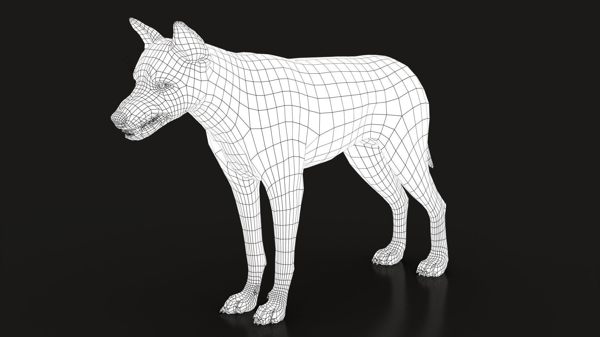 Wolves Pack RIGGED XGEN igs 3D Model Collection_40