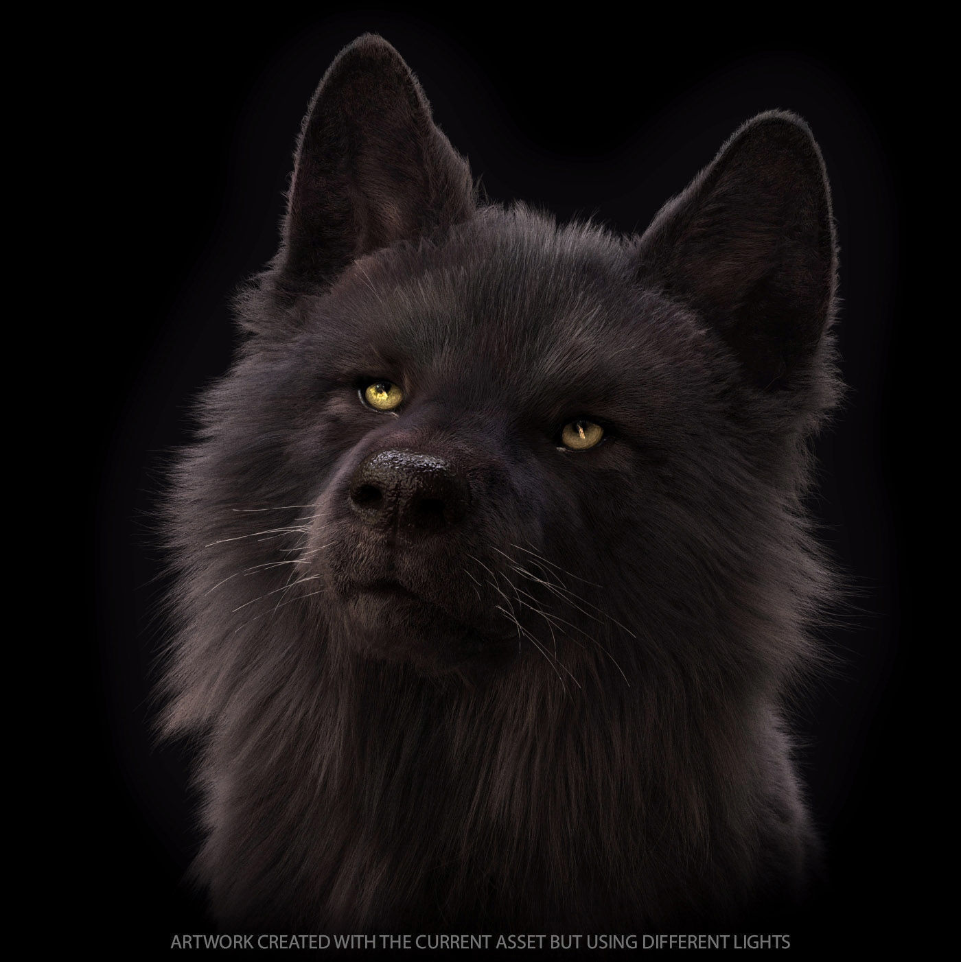 Wolves Pack RIGGED XGEN igs 3D Model Collection_31
