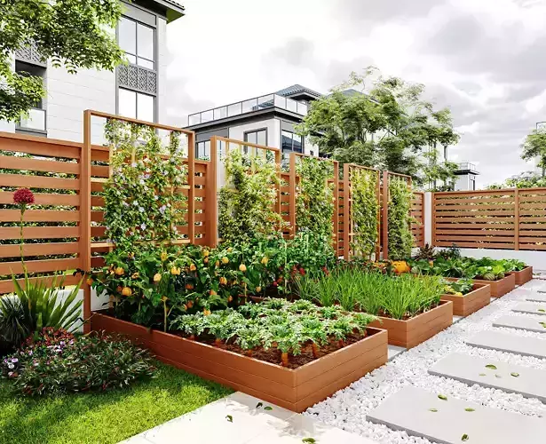 courtyard interior scenes 