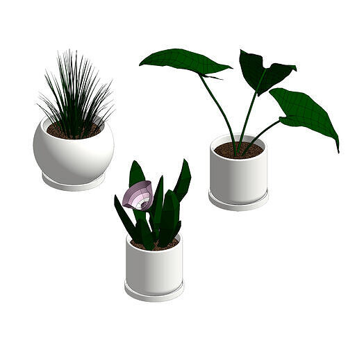 Plants Revit Families 3D model