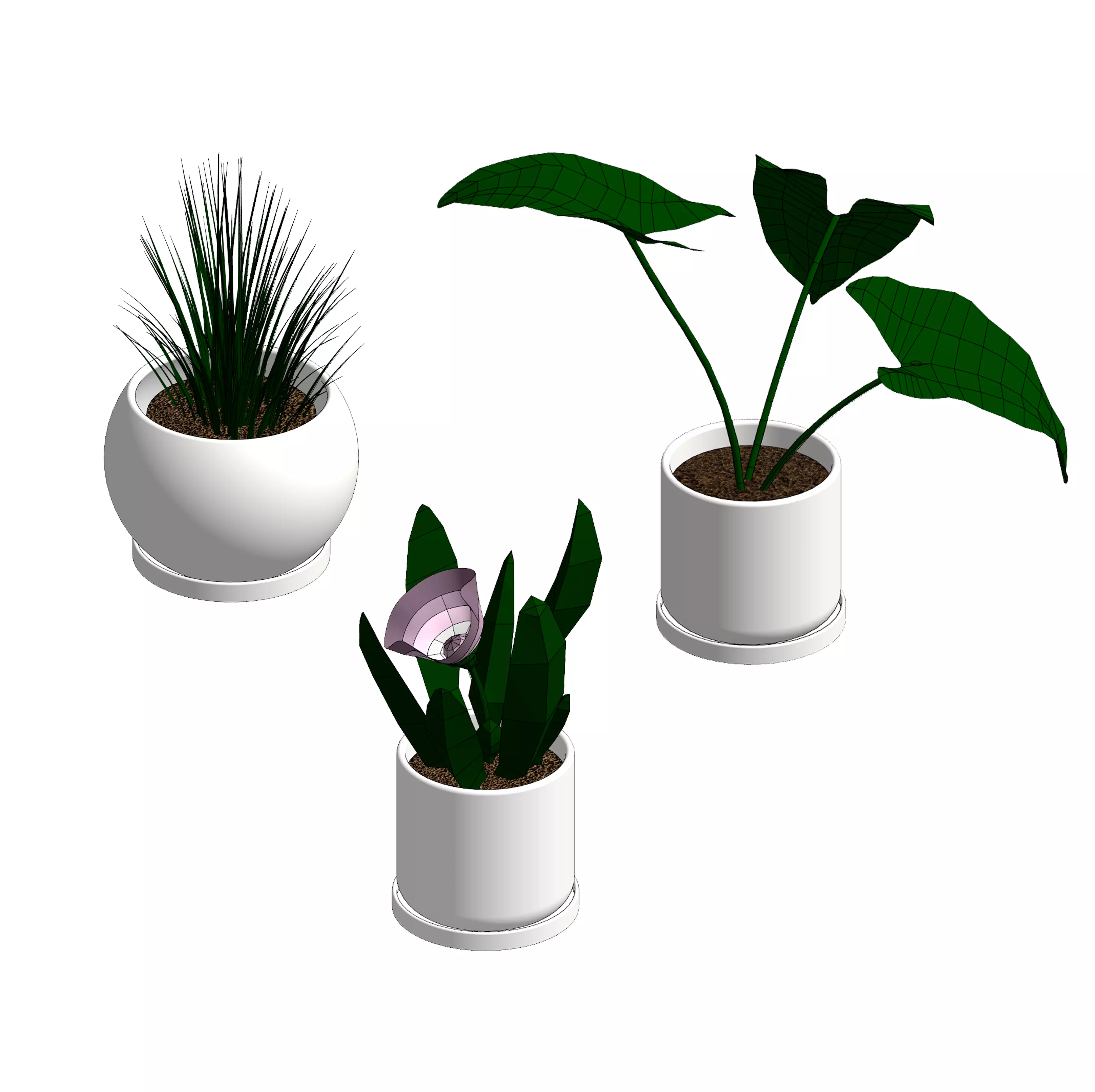 Plants Revit Families 3D model