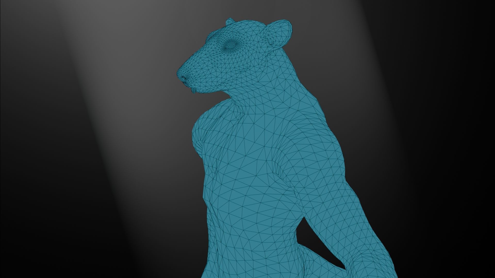 Rat low-poly 3D model Low-poly 3D model_4