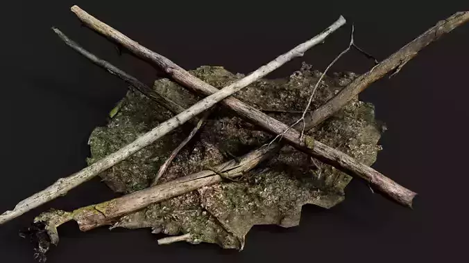 broken trees forest terrain pt3 PBR photogrammetry