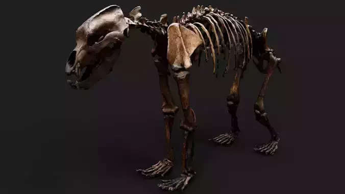 skeleton prehistoric animal model PBR photogrammetry