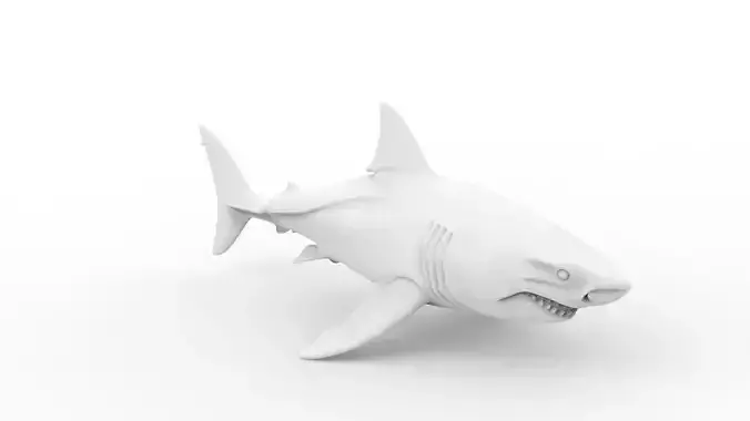Great White Shark 3D Print Model 3D print model