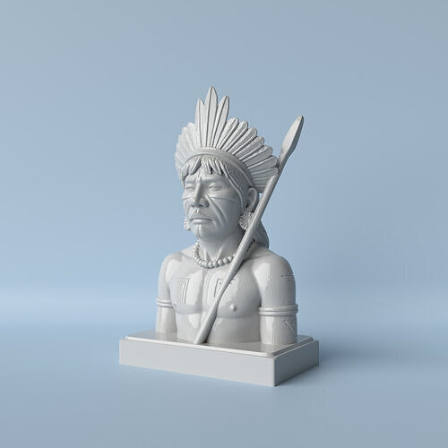 Noble Ancestor Elegant Indigenous Bust 3D print model