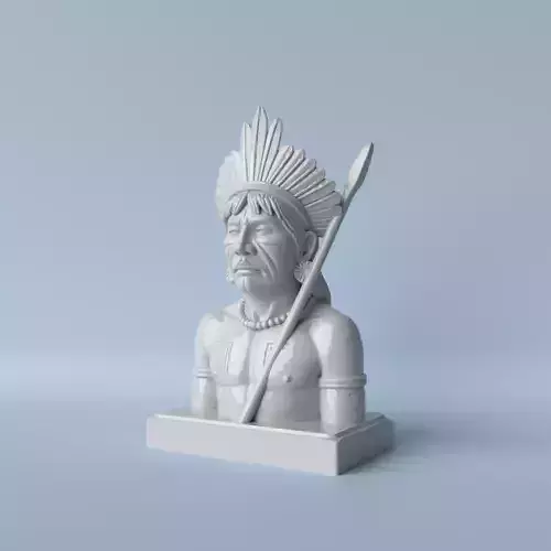Noble Ancestor Elegant Indigenous Bust