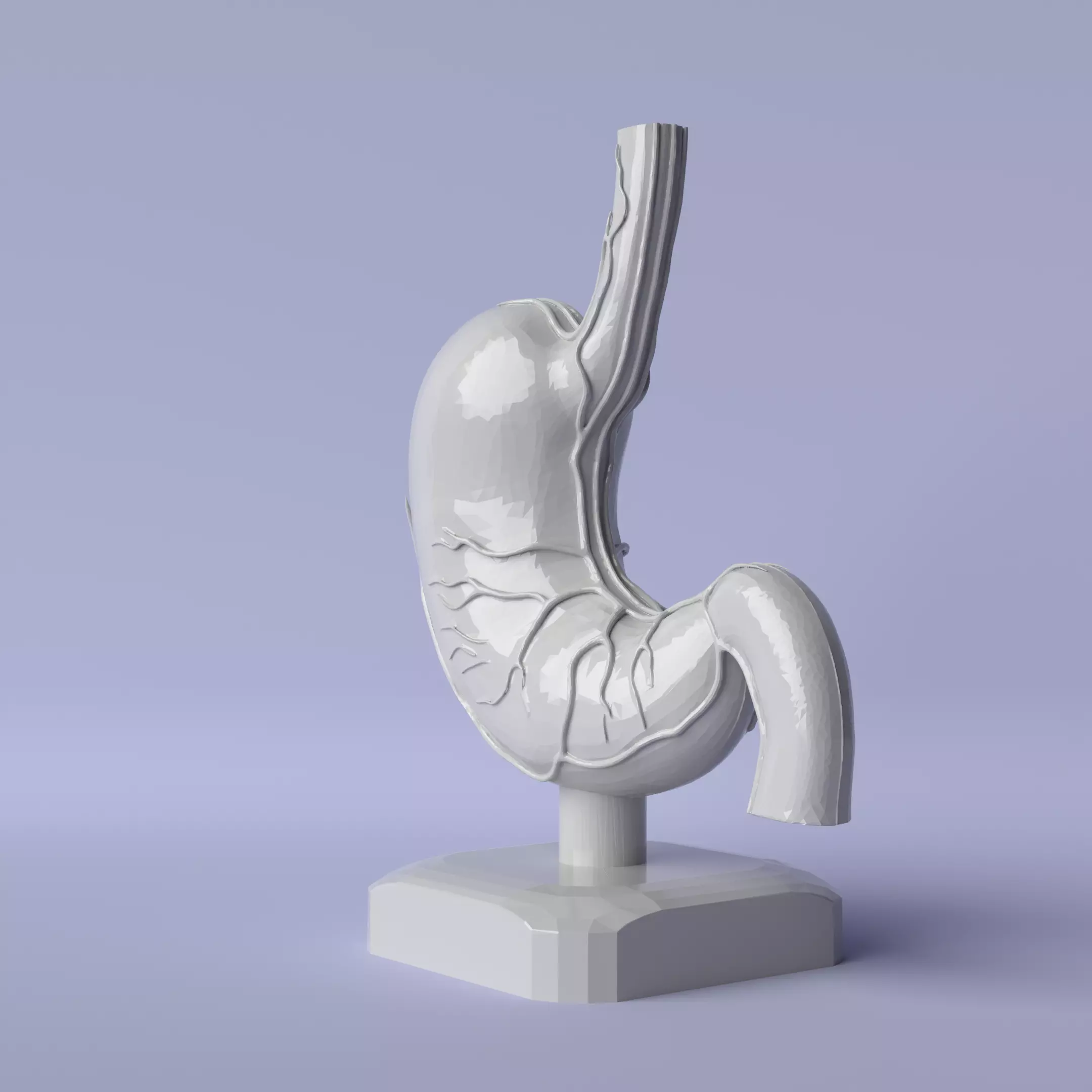 Stomach Sculpture Anatomical and Modern Decorative Art 3D print model