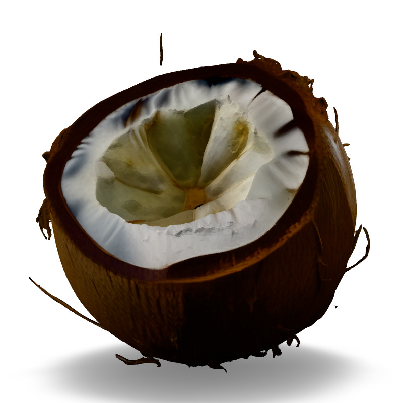 Realistic Half Cut Coconut 3D Model Low-poly 3D model_3