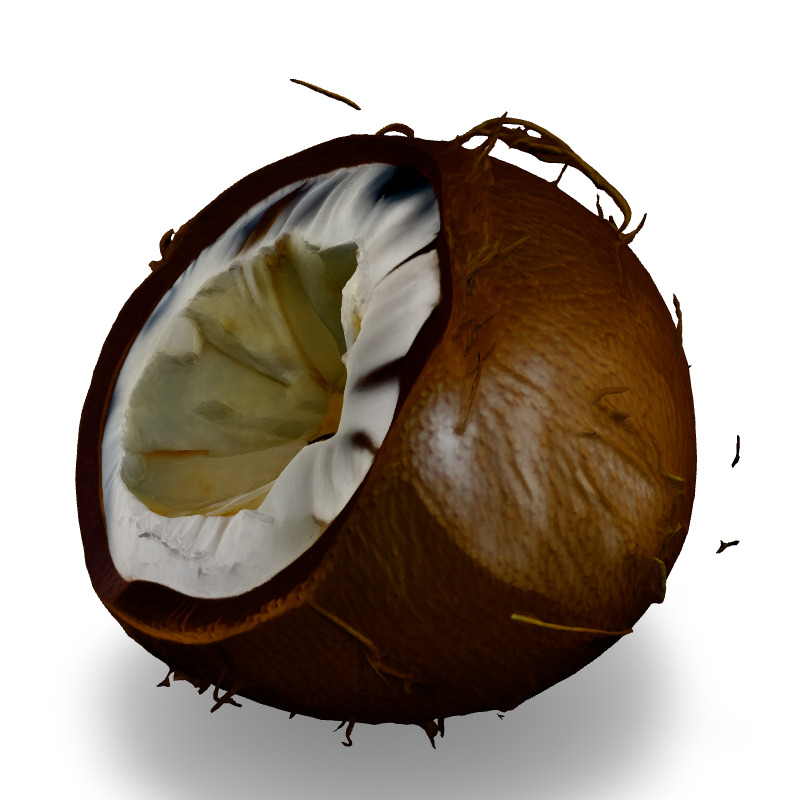 Realistic Half Cut Coconut 3D Model Low-poly 3D model_1