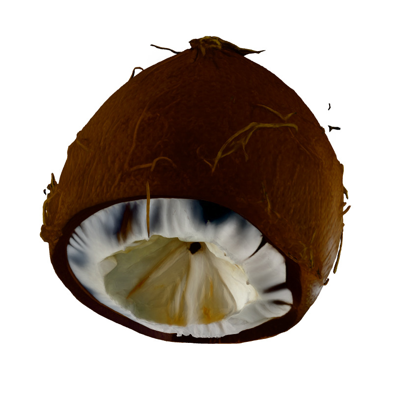 Realistic Half Cut Coconut 3D Model Low-poly 3D model_7