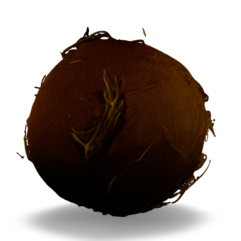 Realistic Half Cut Coconut 3D Model Low-poly 3D model_6