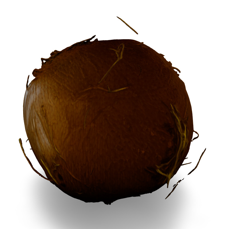 Realistic Half Cut Coconut 3D Model Low-poly 3D model_4
