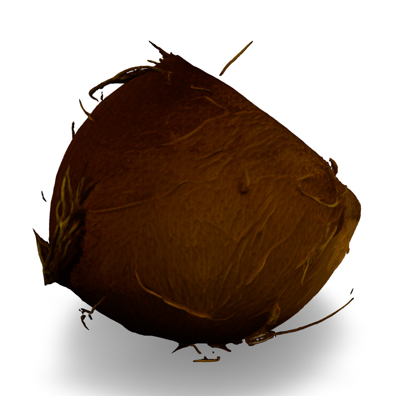 Realistic Half Cut Coconut 3D Model Low-poly 3D model_5