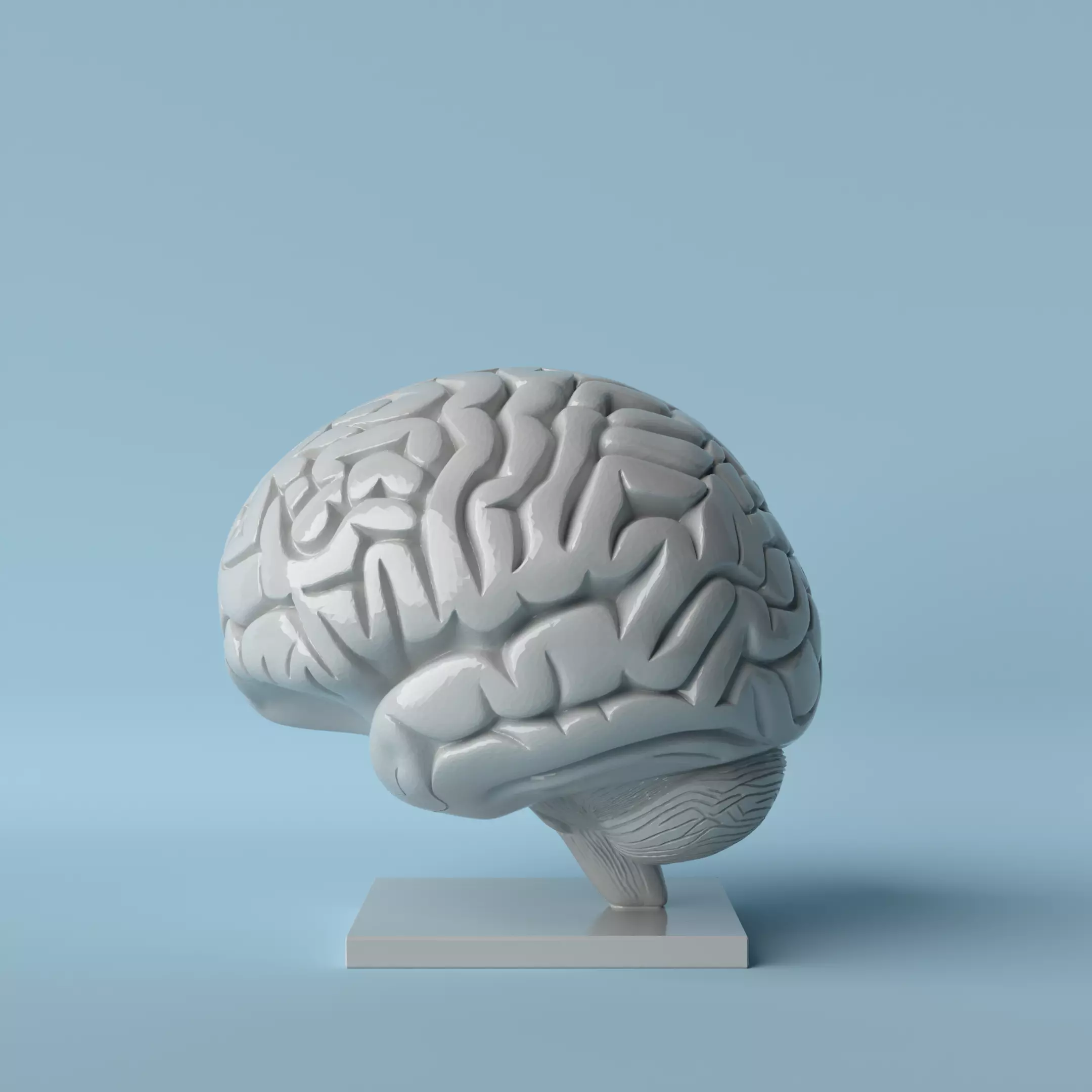 Brain Sculpture Scientific and Modern Decorative Art 3D print model