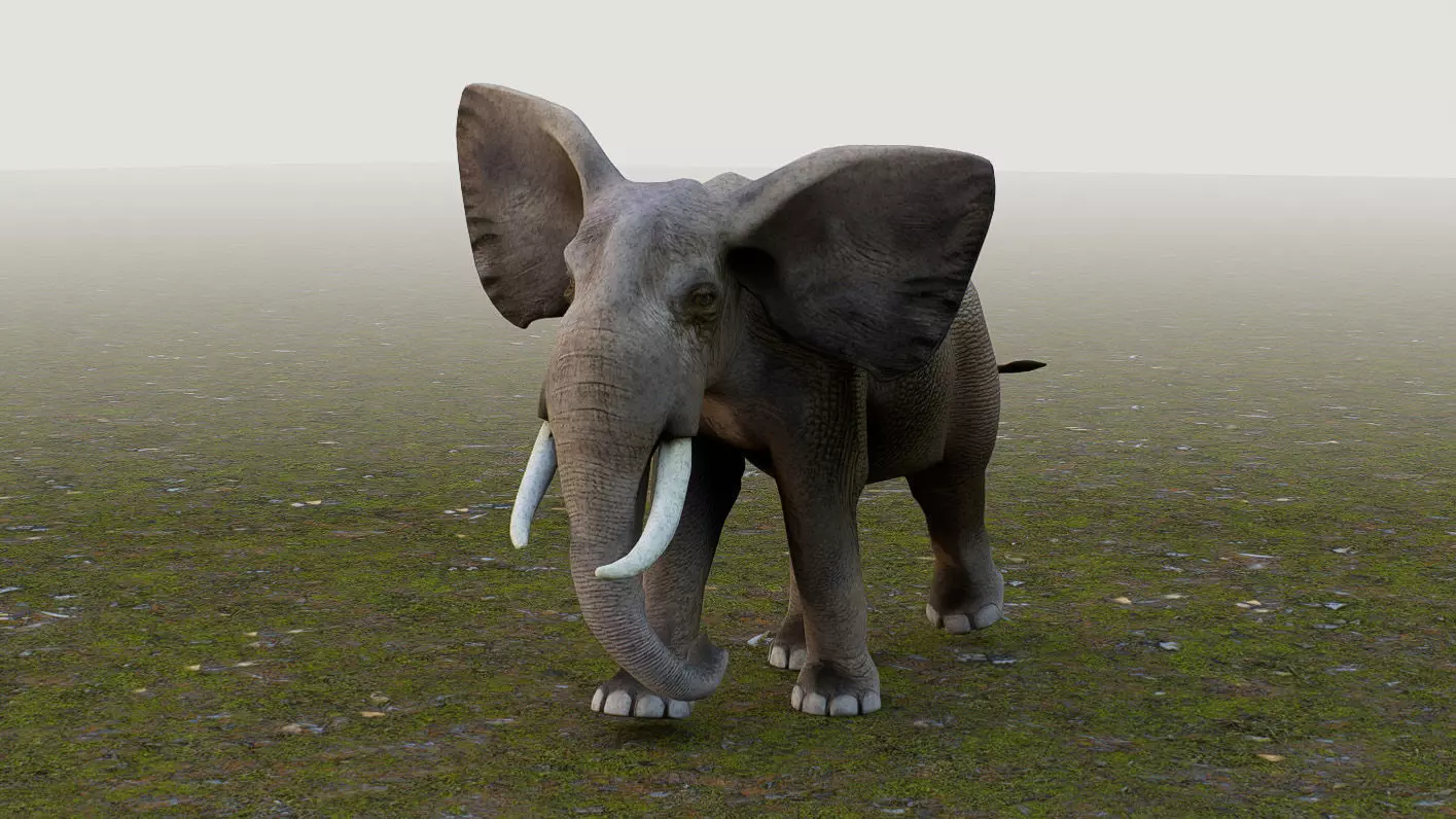 Elephant Low-poly 3D model_0
