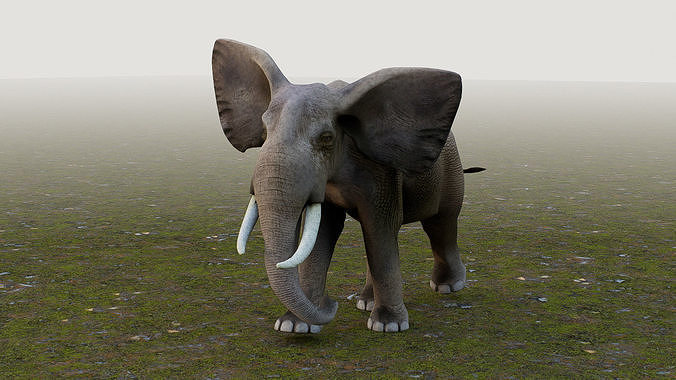 Elephant Low-poly 3D model