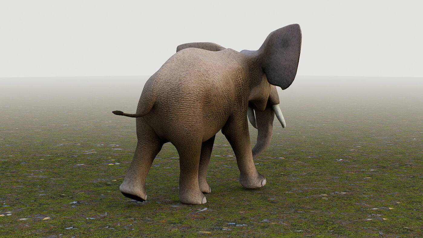 Elephant Low-poly 3D model_1