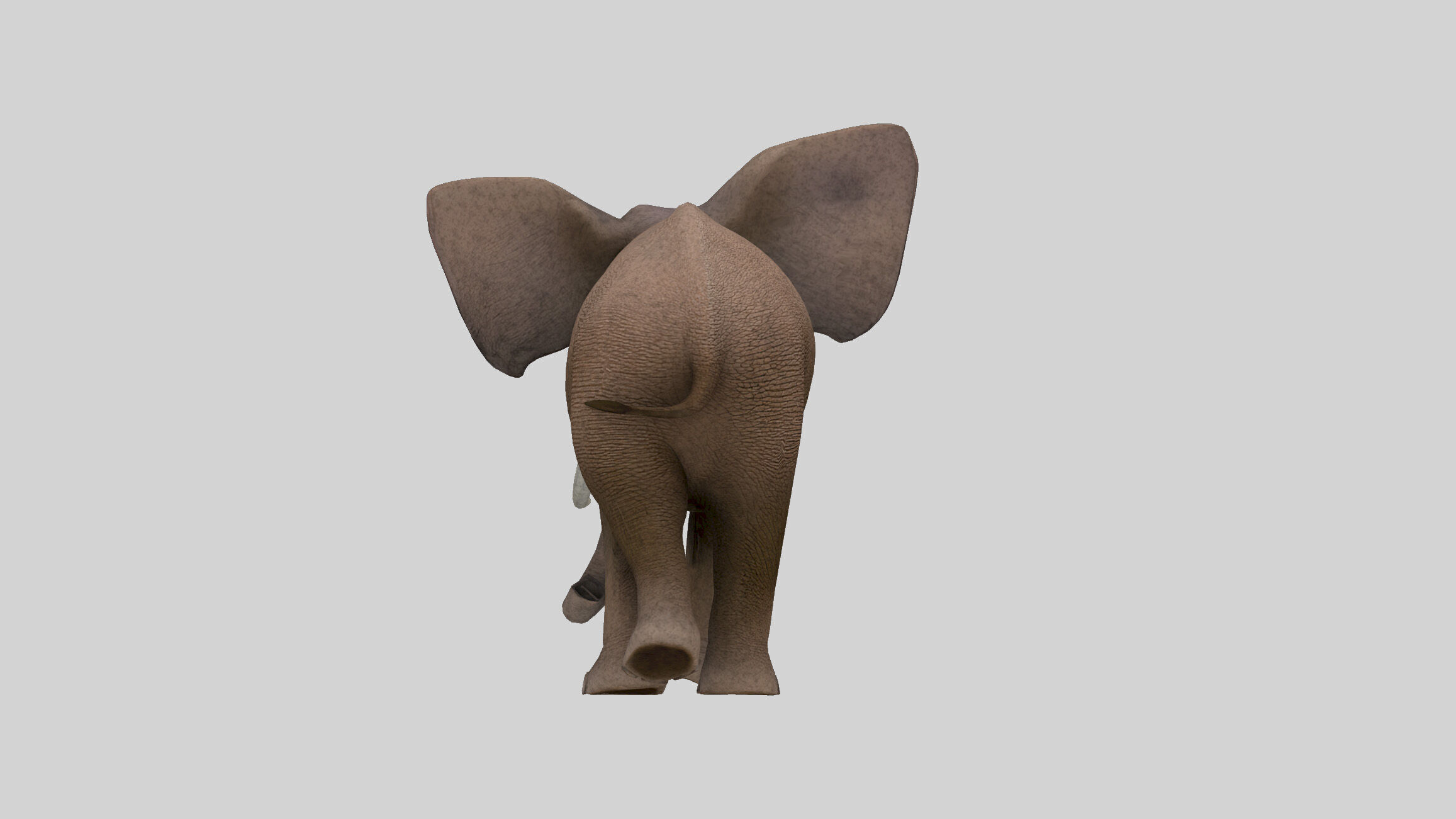 Elephant Low-poly 3D model_5