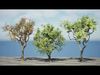 Marula Tree 3D Model Pack Low-poly 3D model_1