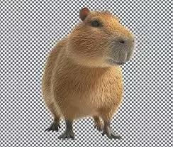capibara 3d Low-poly 3D model_0