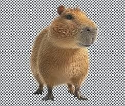 capibara 3d Low-poly 3D model