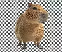 capibara 3d Low-poly 3D model